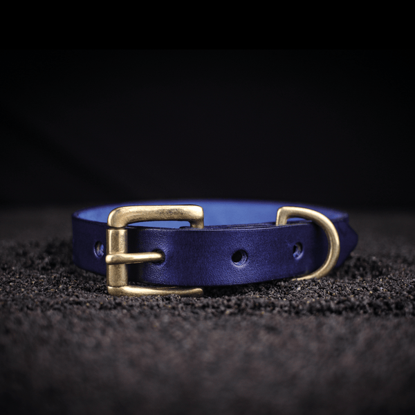 small traditional dog collar in blue leather