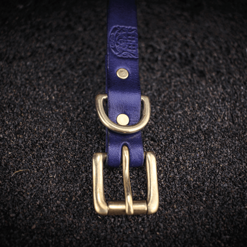 small traditional dog collar in blue leather