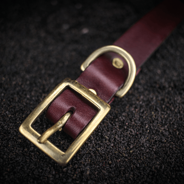 fastener on medium traditional leather dog collar