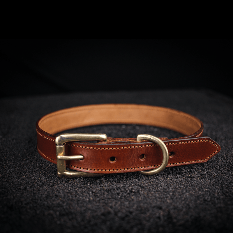 large traditional leather dog collar