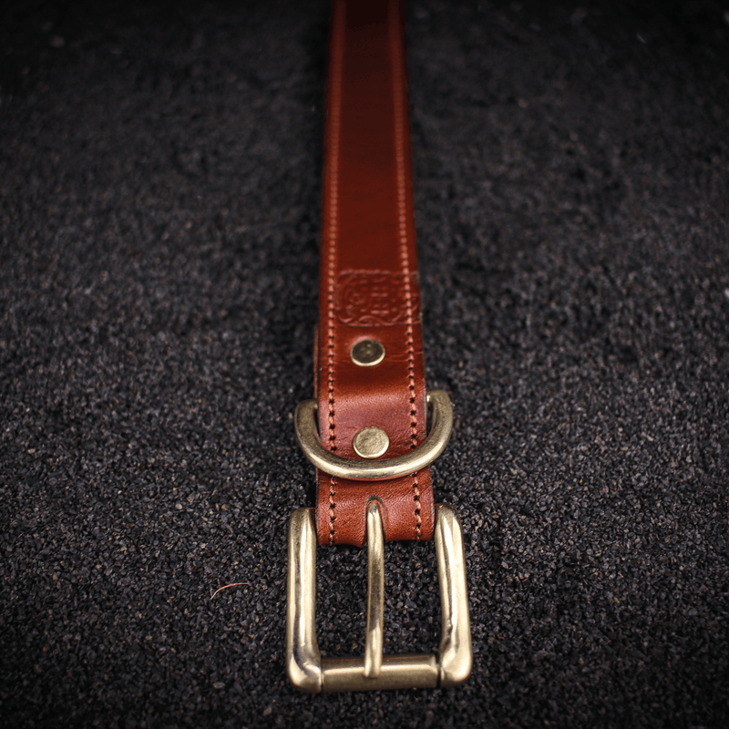 close up of large traditional dog collar fastener