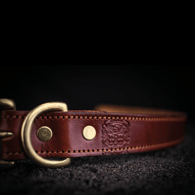large traditional leather dog collar with coupland crest