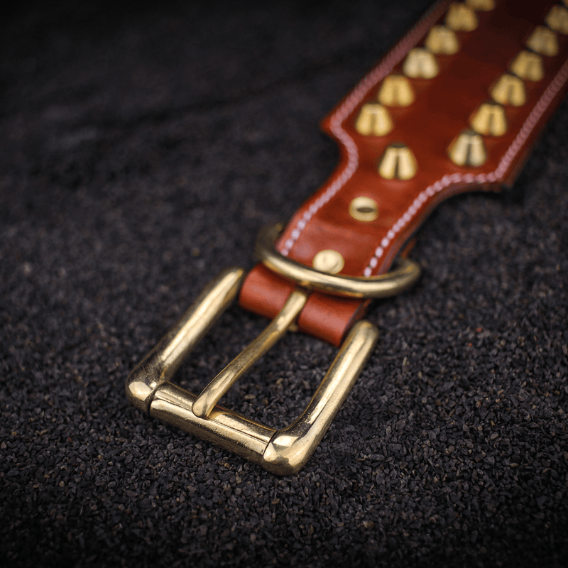 leather studded custom dog collar brass buckle