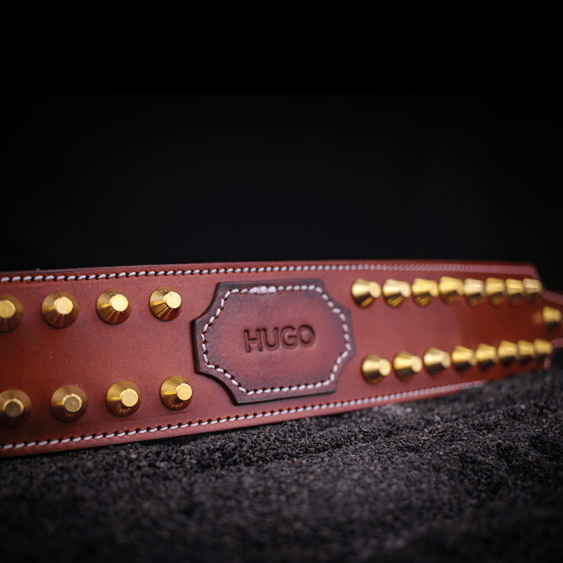 leather studded custom dog collar