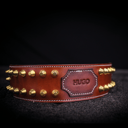 leather studded custom dog collar