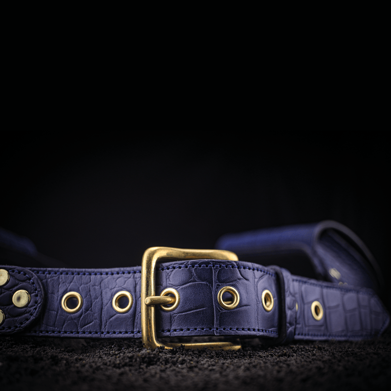 Equine Riding Belt