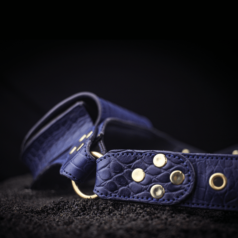 blue leather equine riding belt strap