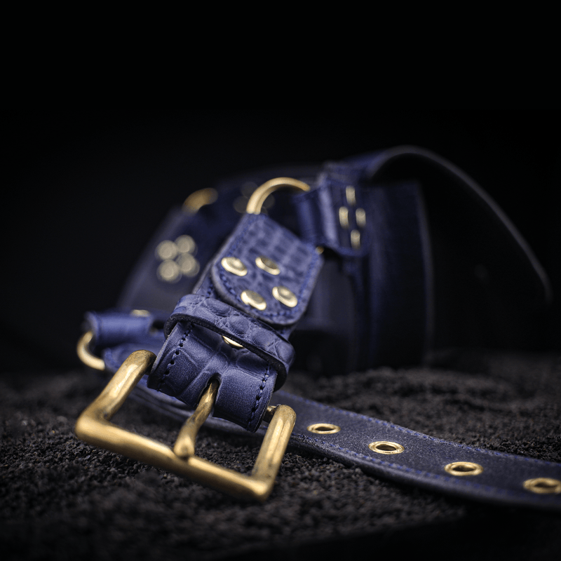 blue leather equine riding belt brass buckle