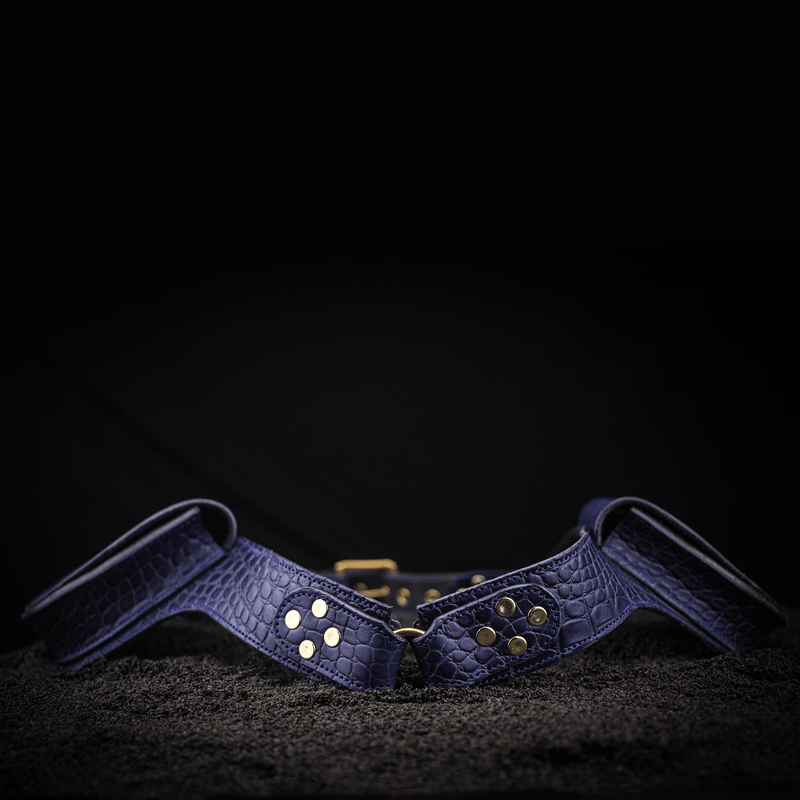 blue leather equine riding belt